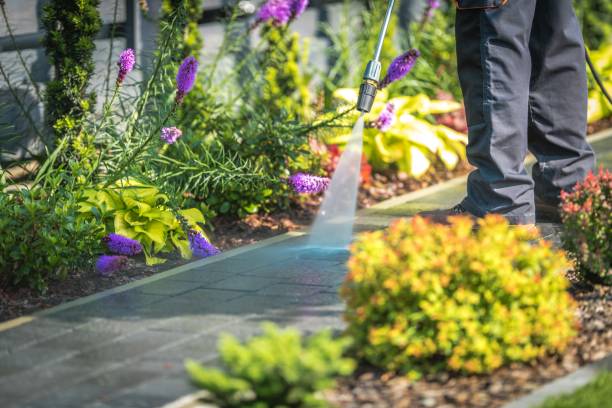 Best Driveway Pressure Washing  in Trucksville, PA