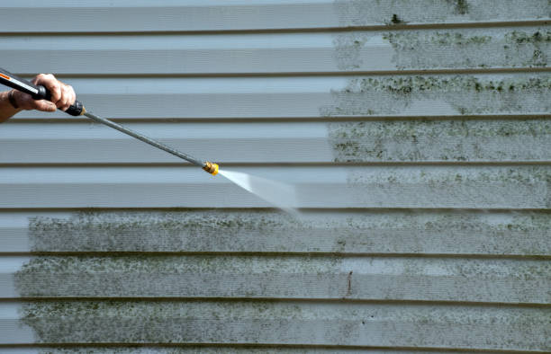Best House Exterior Washing  in Trucksville, PA
